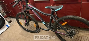 Gents and Ladies Bicycles