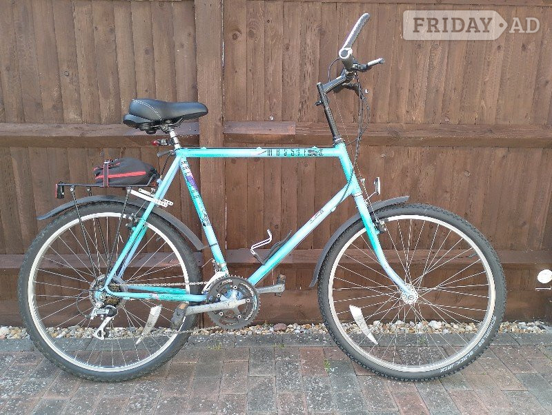 Gents Raleigh Massif bicycle in Polegate