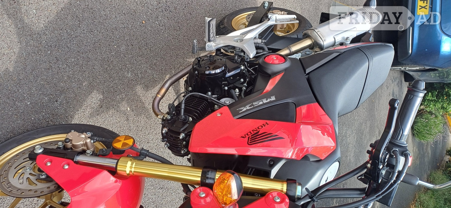 [ berth ]Honda Msx