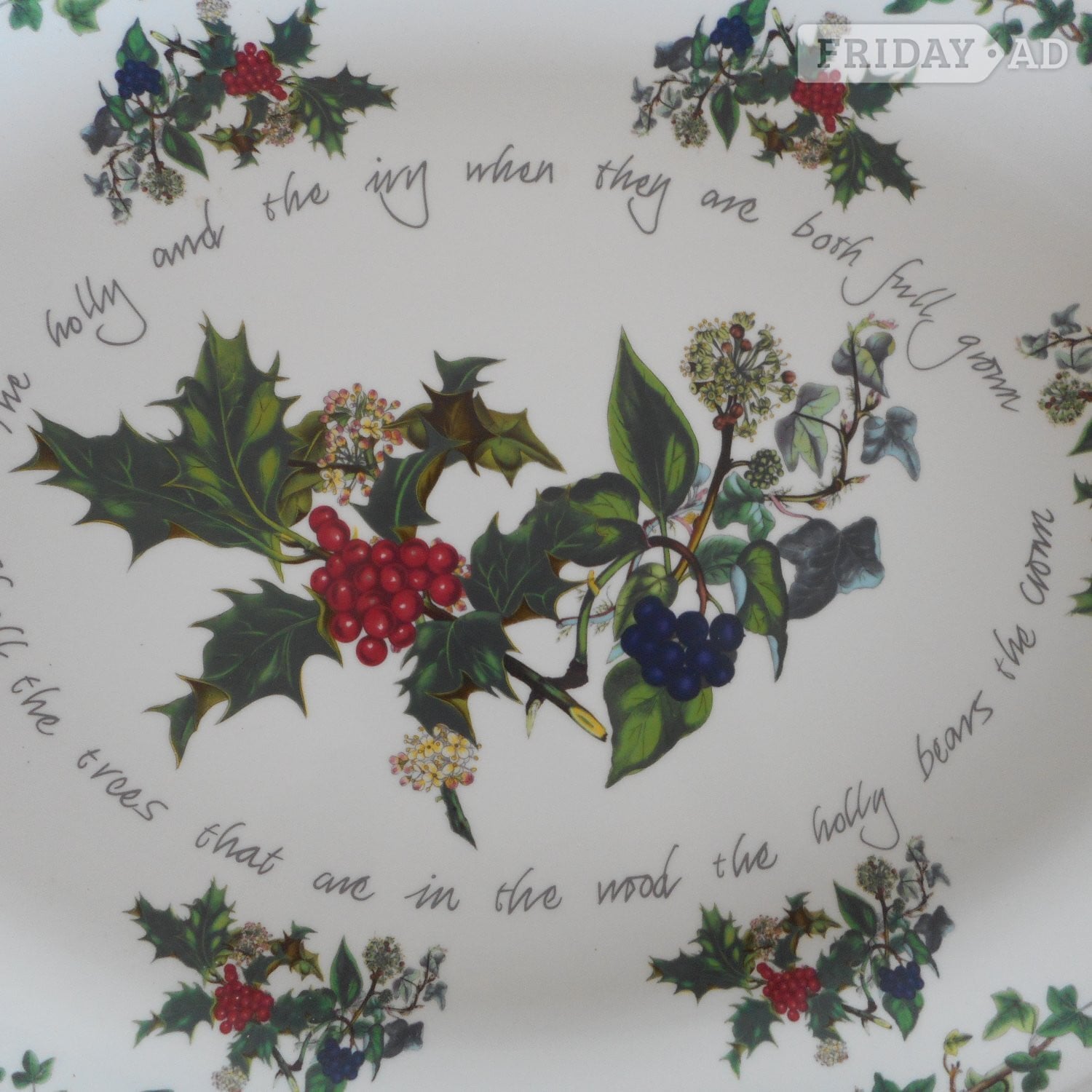 Beautiful Portmeirion Turkey Carver Tray