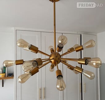 Chandelier/large pendant light