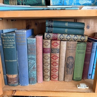 Load of Old Books