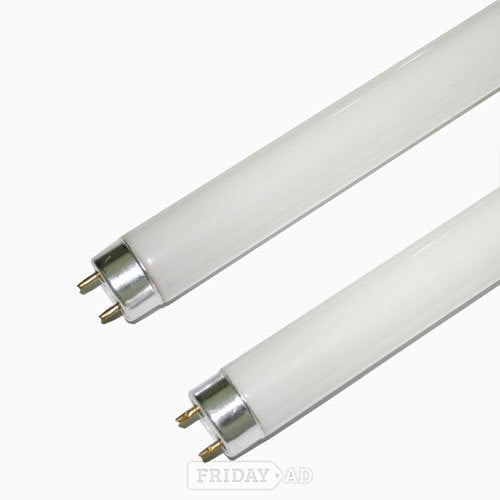 Flourescent tubes white in Hastings