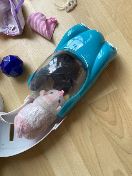 Horsham Zhu Zhu pets (hamster)