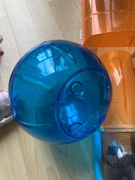 Zhu Zhu pets (hamster) - Baby & Kids in Horsham