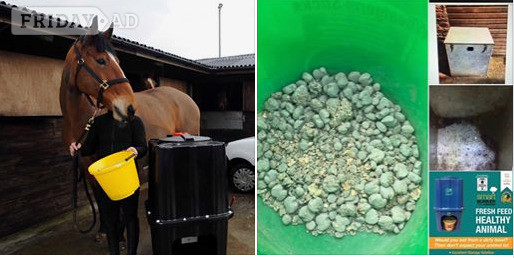 Belchamp Walter The Smart Bunker Animal Feed Storage 