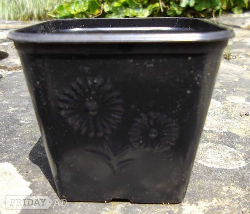 20 x Nursery Soft Plastic Square Growing Pots - approx. 300 ml in Crawley