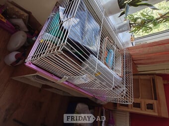 Guinea pig cage large 