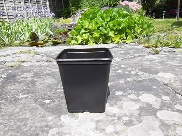 10 x Nursery Semi-Rigid Growing Pots - approx. 750 ml. in Crawley
