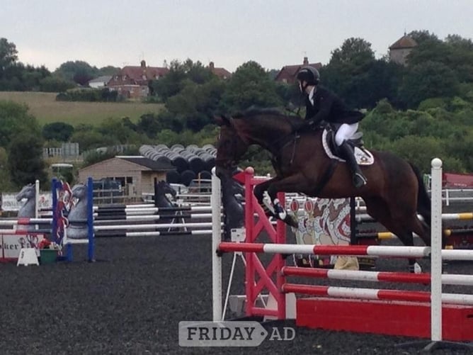 Livery in Ditchling - Horse Care & Equipment