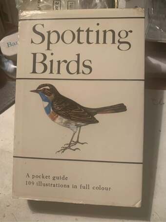 Spotting Birds a Pocket Guide