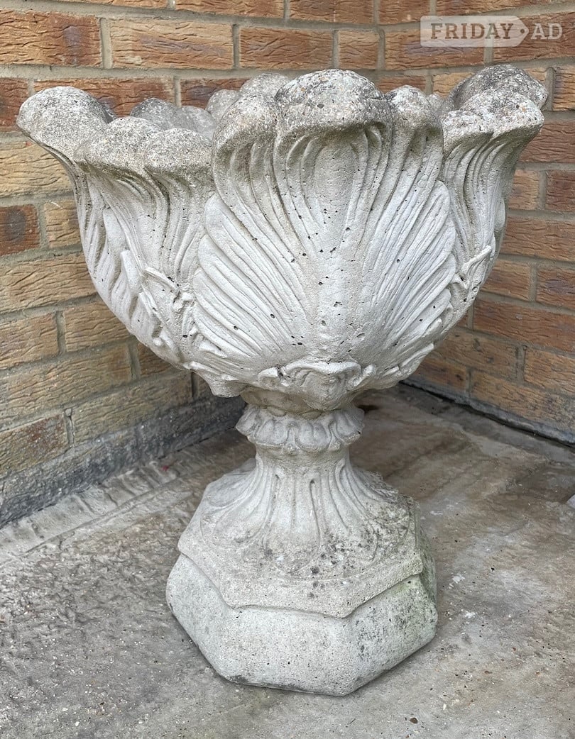 Tulip style concrete Planter in Hastings