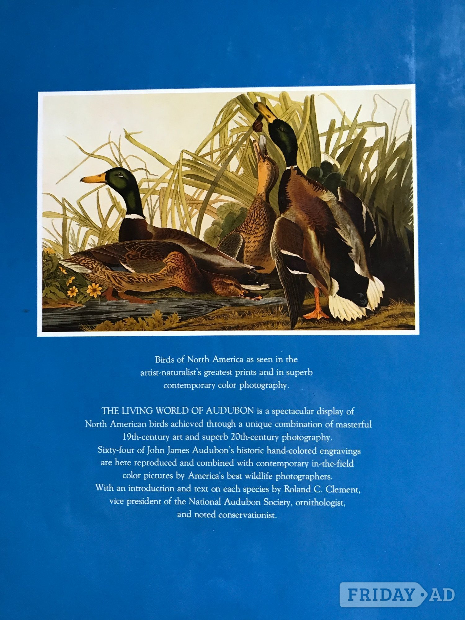 The Living World of Audubon by Roland C Clement 