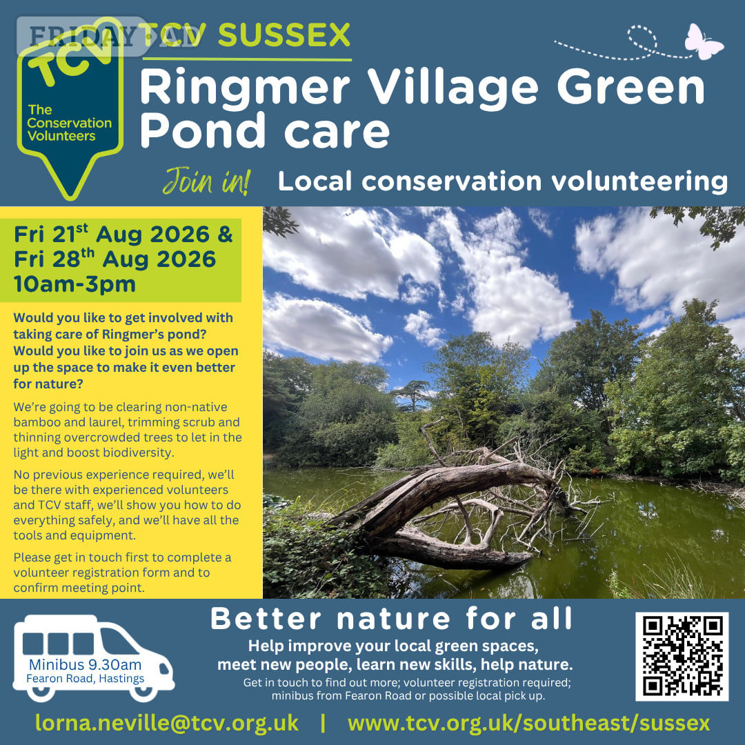 Conservation volunteering in Ringmer 21st & 28th Aug 2026 in Lewes