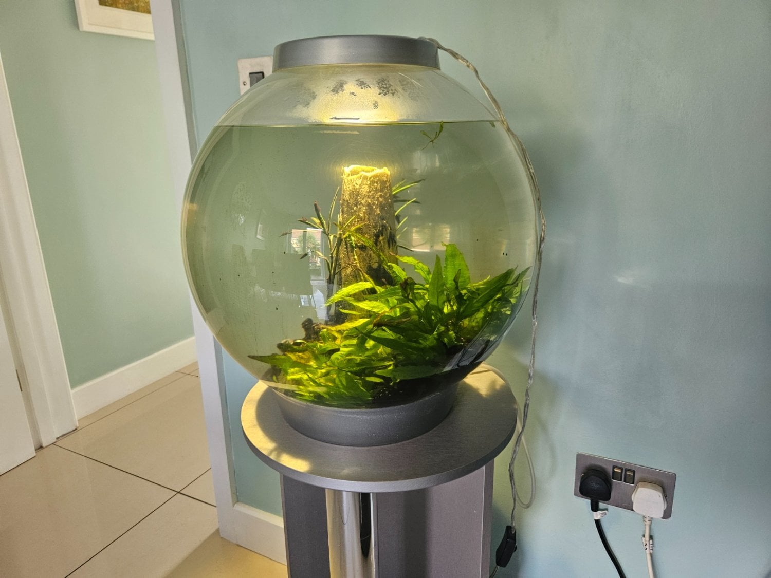 biOrb 30L Tank with LED Light, Stand, Pump and Accessories
