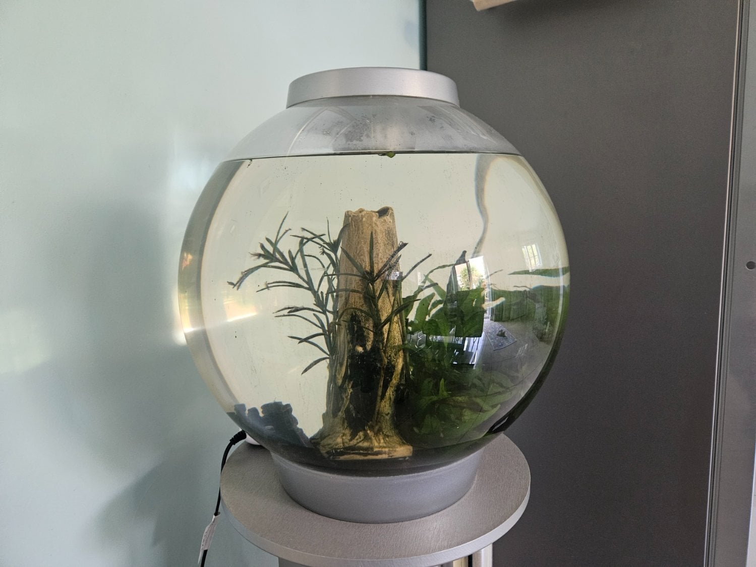 Southampton biOrb 30L Tank with LED Light, Stand, Pump and Accessories