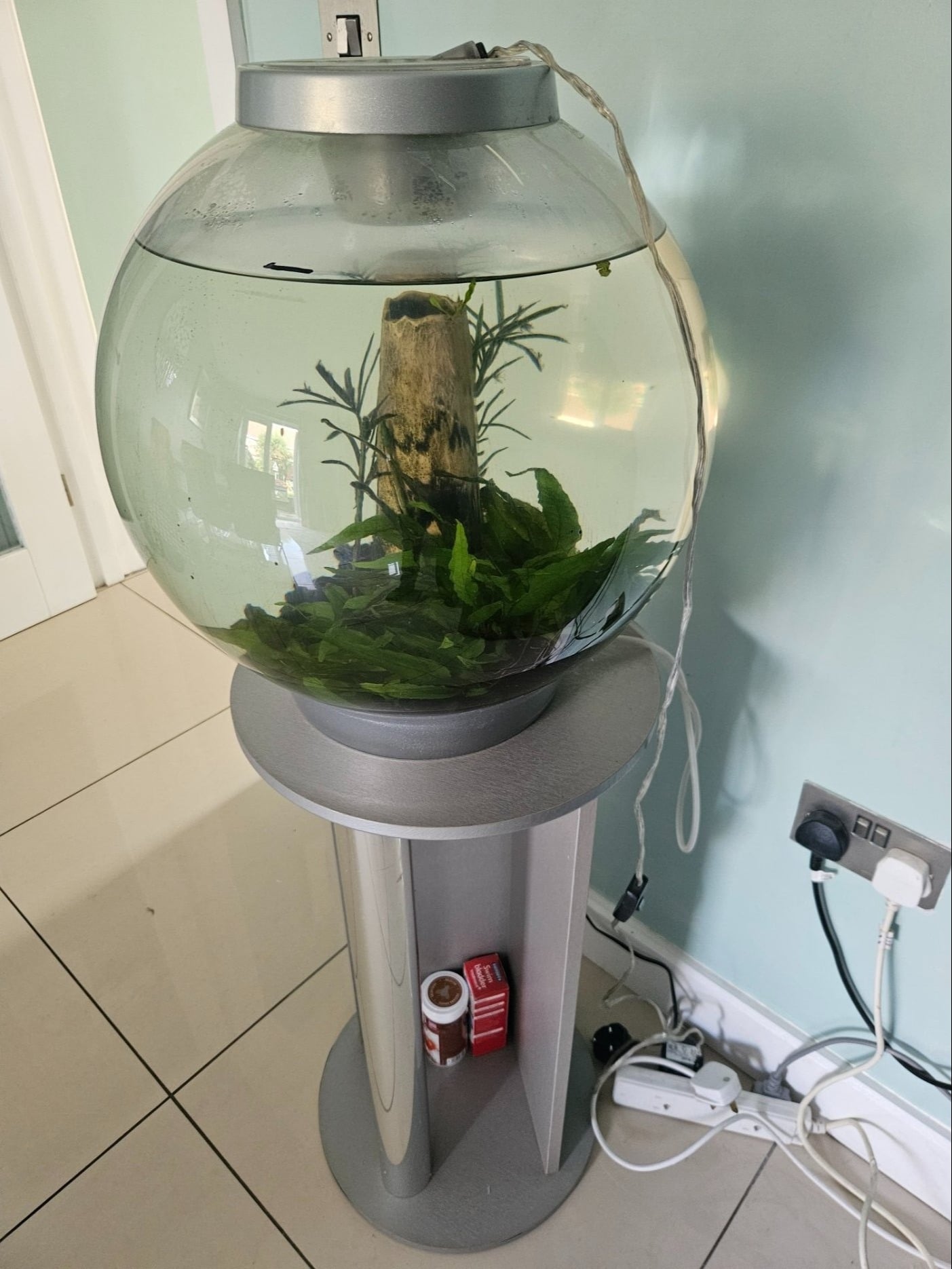 biOrb 30L Tank with LED Light, Stand, Pump and Accessories - Hobbies & Leisure in Southampton