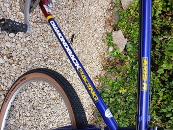 Retro diamondback axis bike
