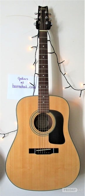 WASHBURN D10 Acoustic Guitar