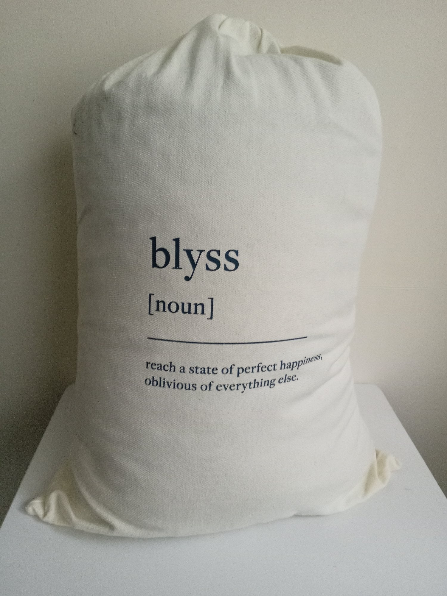 Adult Weighted Blanket 