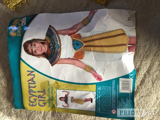 Egyptian dress up accessories