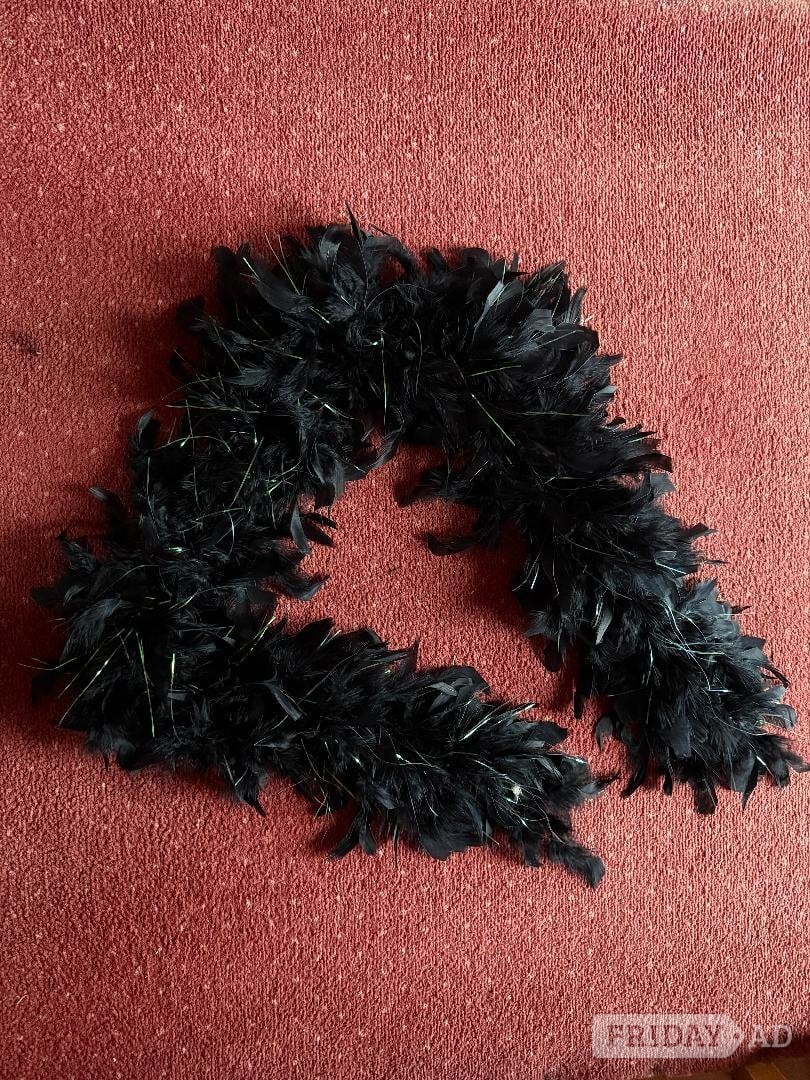Black, Halloween, fancy dress, feather boa. £1.50 in Worthing