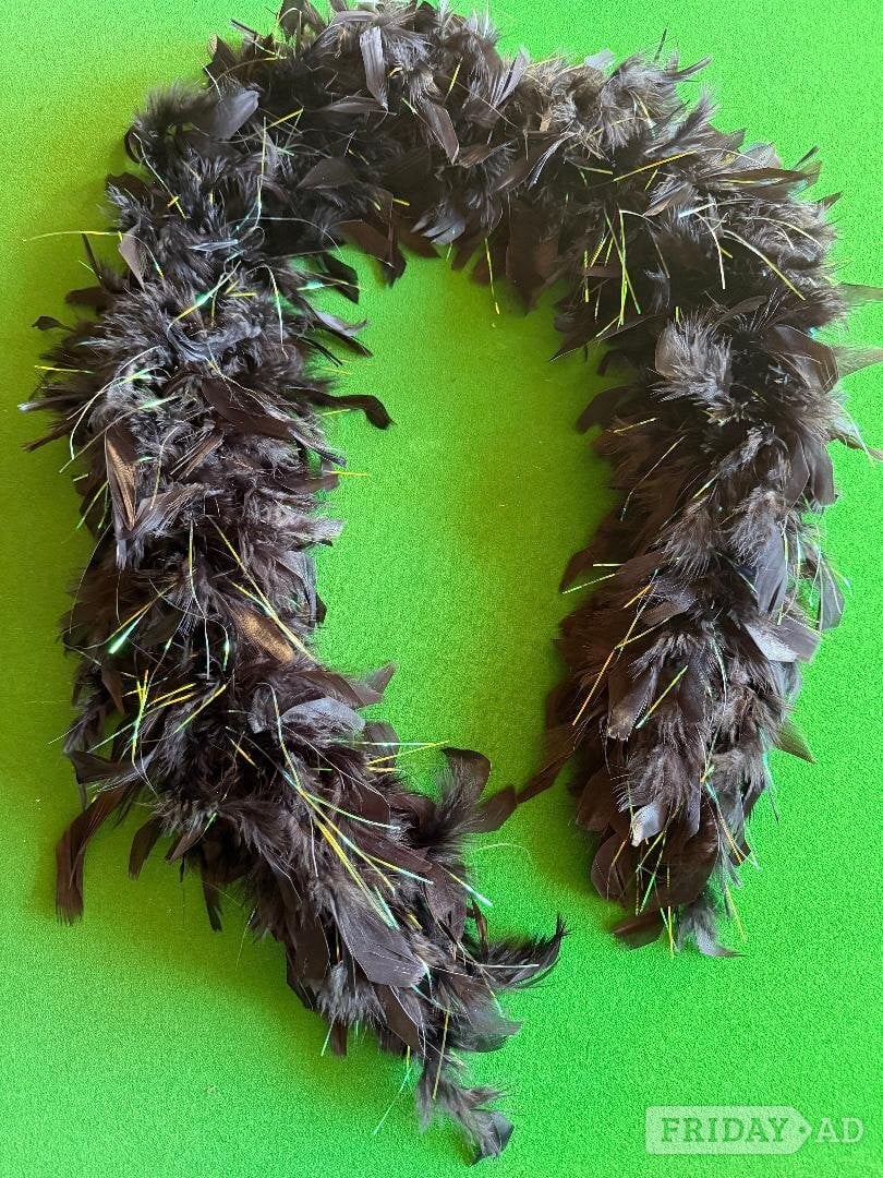 Black, Halloween, fancy dress, feather boa. £1.50