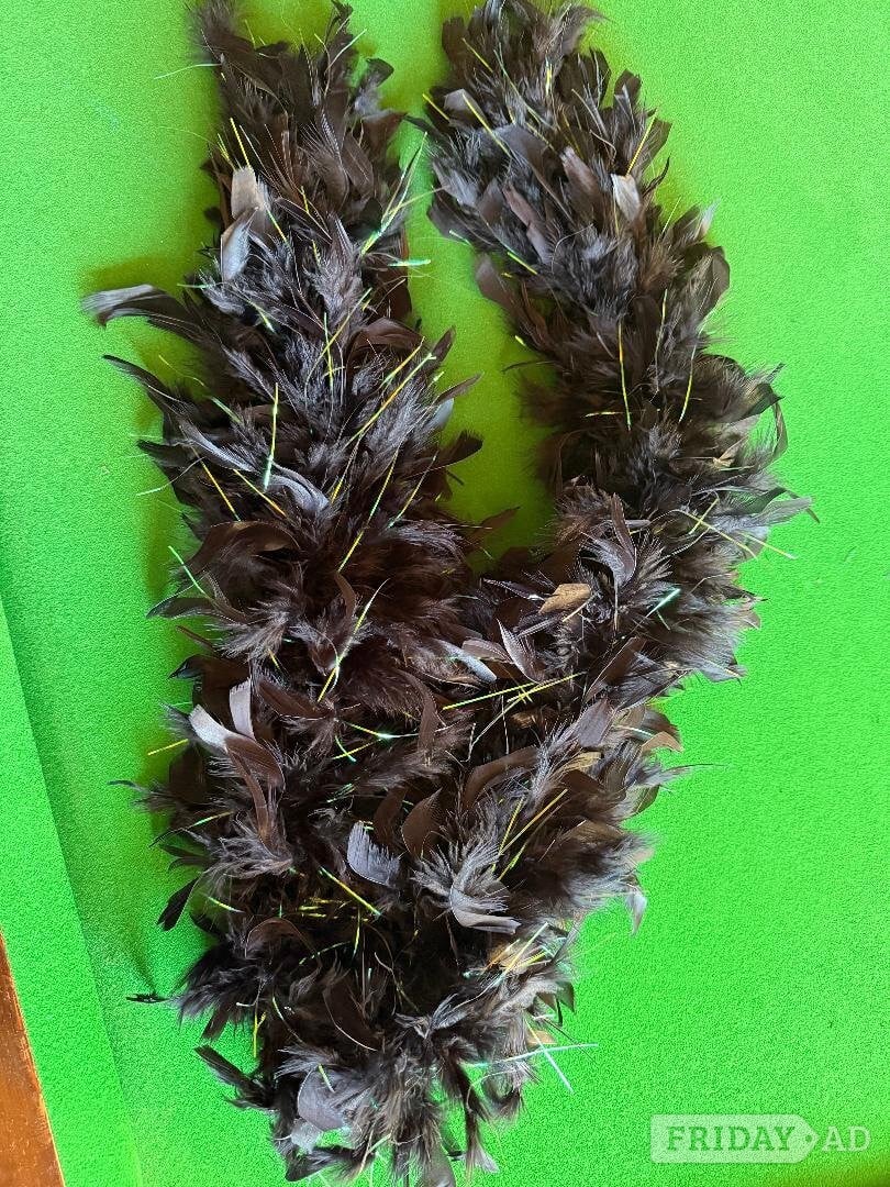 Worthing Black, Halloween, fancy dress, feather boa. £1.50