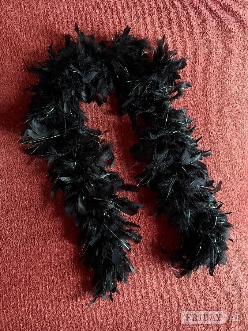Black, Halloween, fancy dress, feather boa. £1.50 - Bizarre Bazaar in Worthing