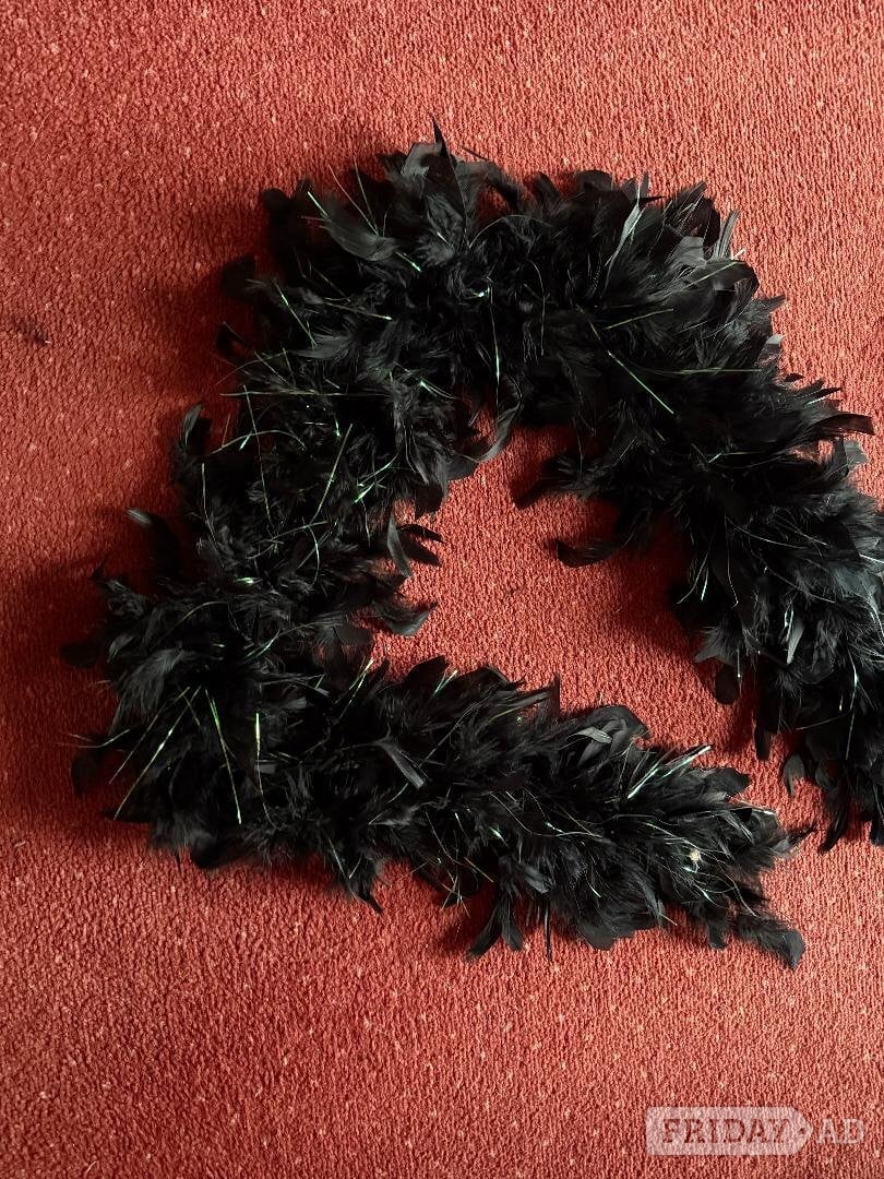 Black, Halloween, fancy dress, feather boa. £1.50 - Bizarre Bazaar