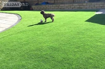 20mm Artificial Grass – Realistic, Pet-Friendly & Low Maintenance