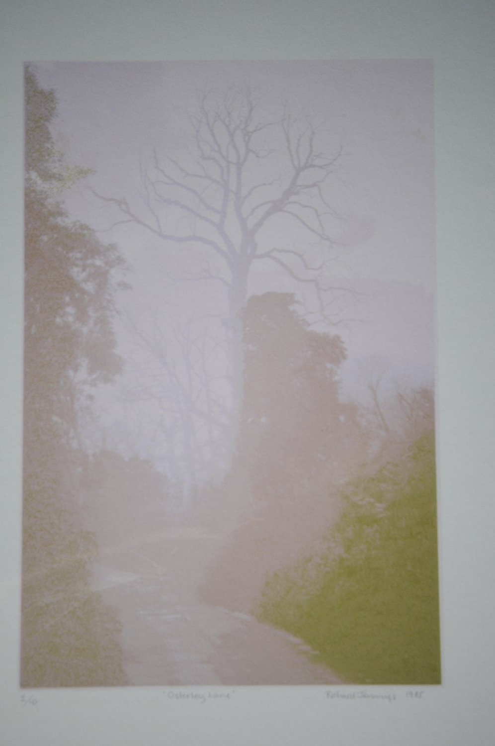 Rare Signed Screen Print Richard Jennings Depicting Osterley Lane - Home Decor in Hartley Wintney