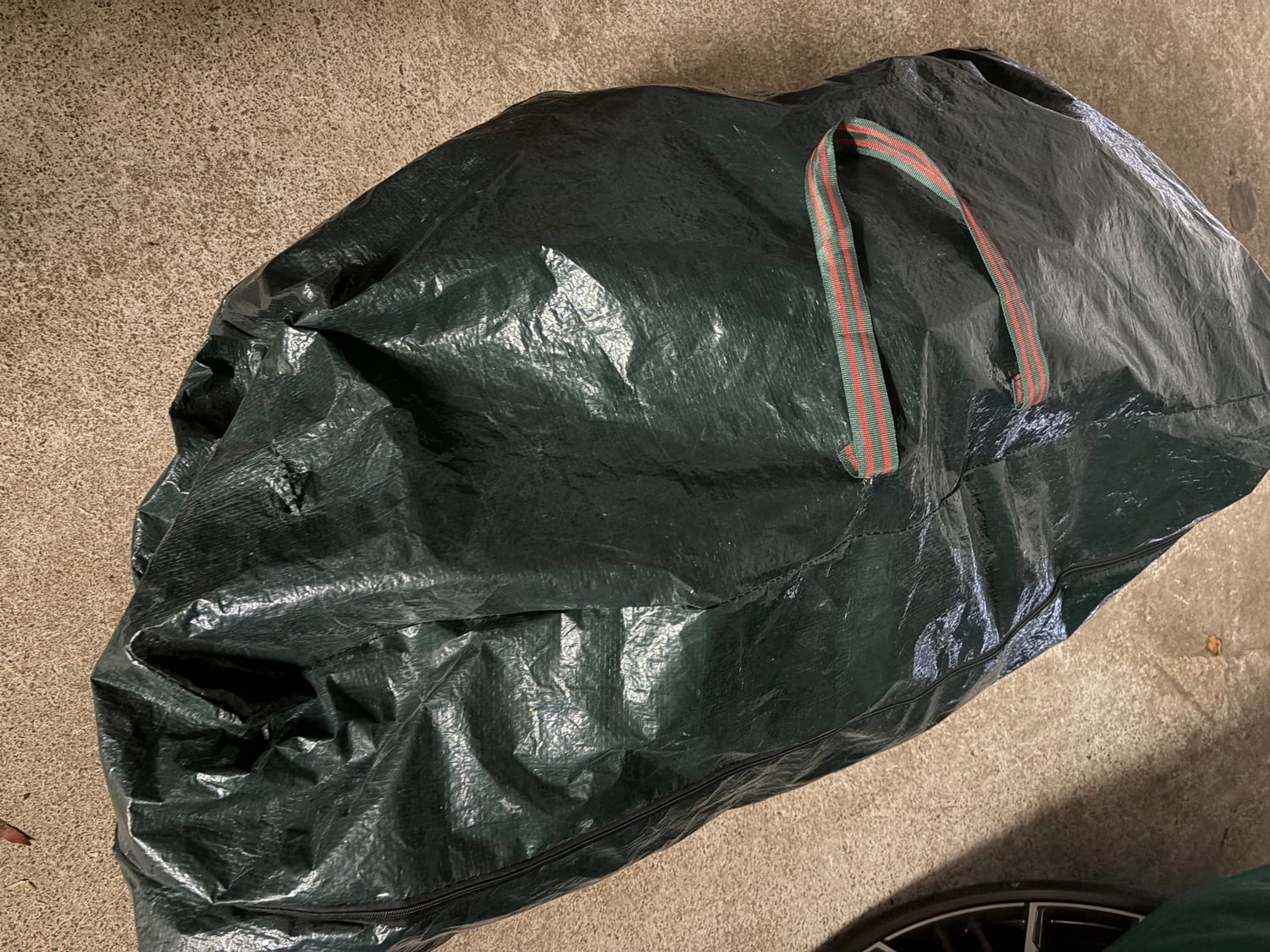 Bristol Christmas tree 6’ complete with bag 