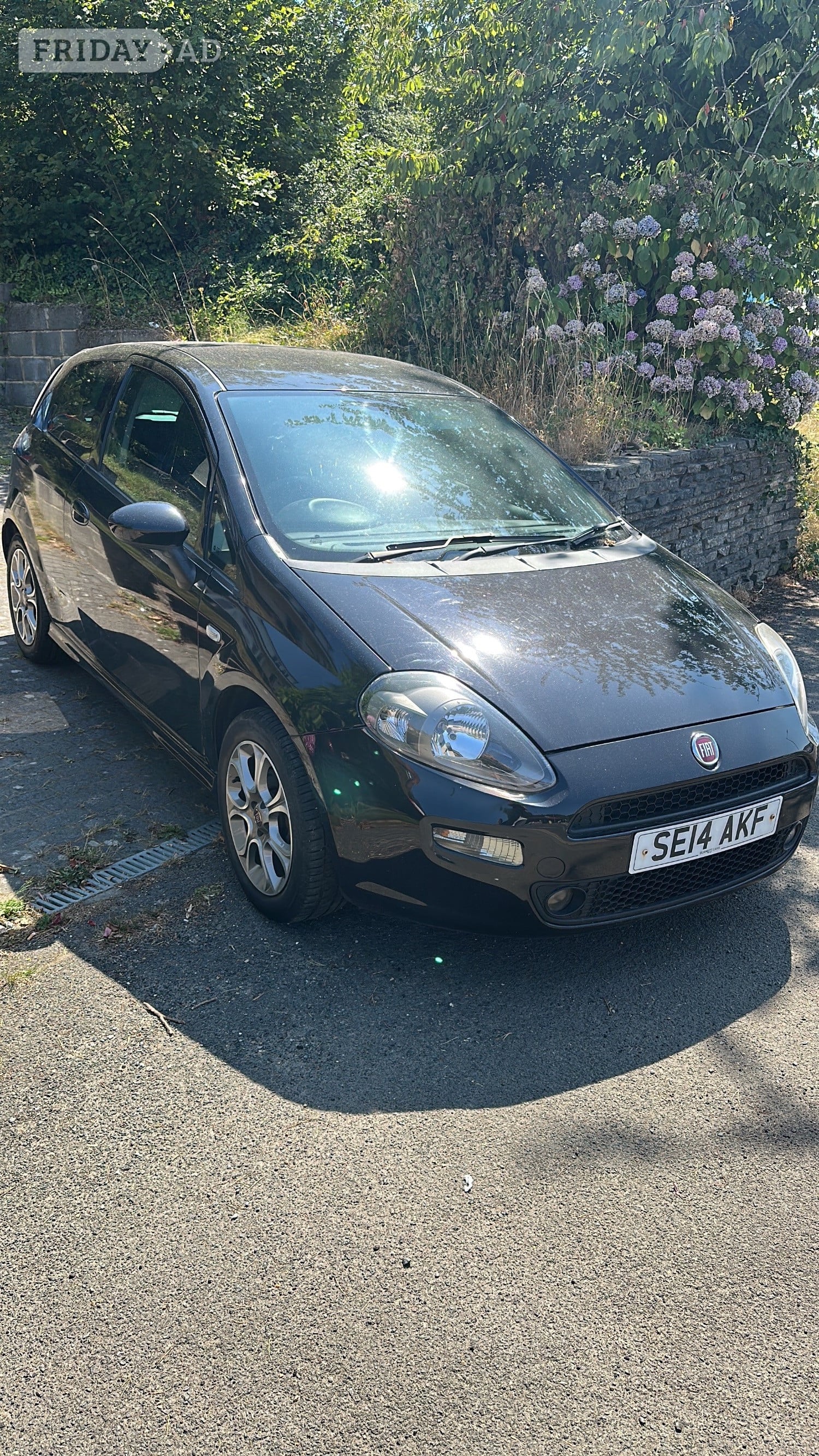 Fiat Punto Winchelsea