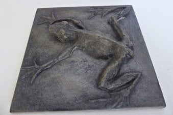 Amphibian wall tile