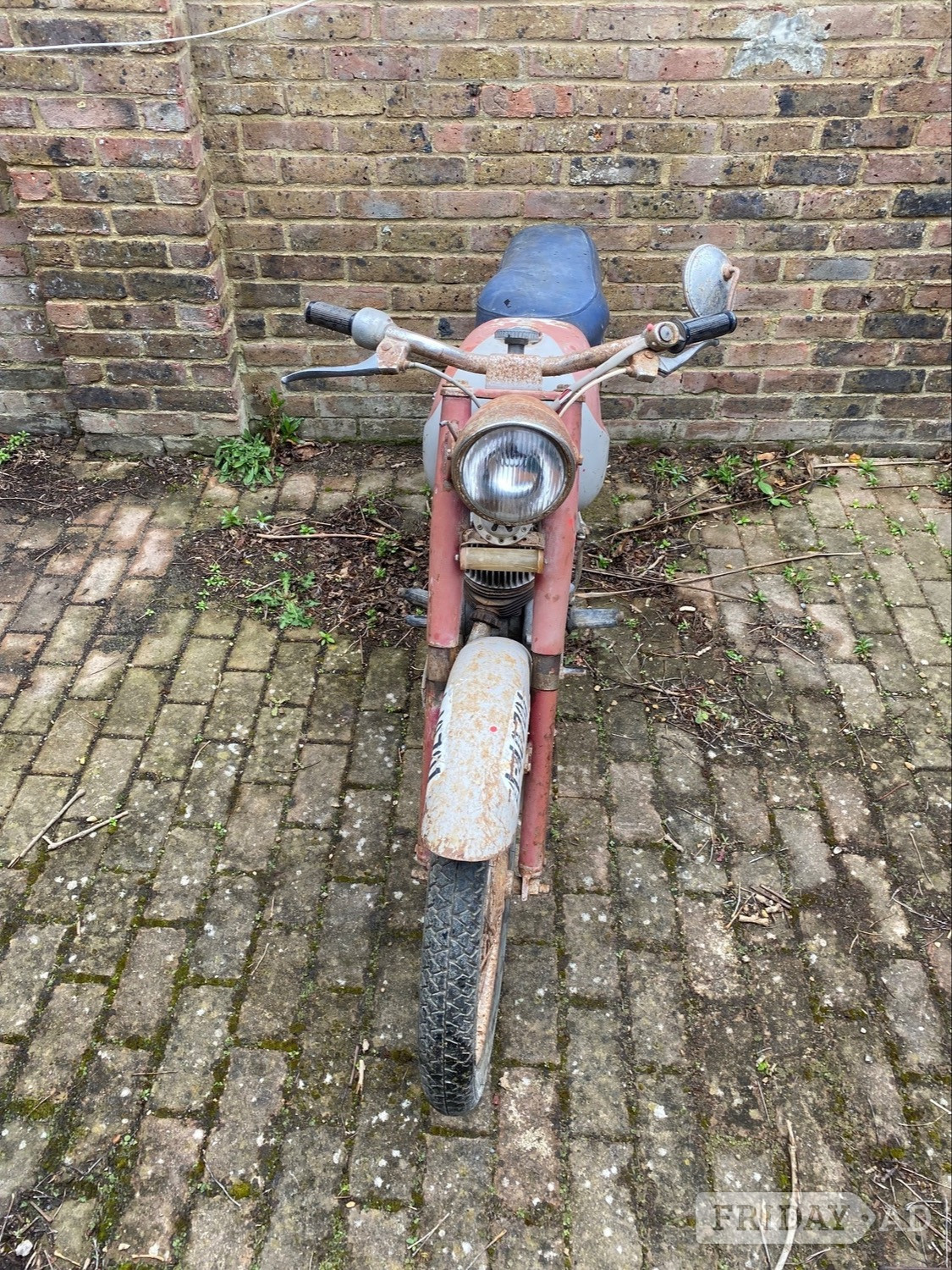 motobic knot kown Brighton