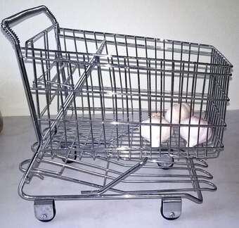 Useful and Unusual Supermarket Trolley