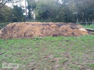 Horse manure, near Battle, East Sussex