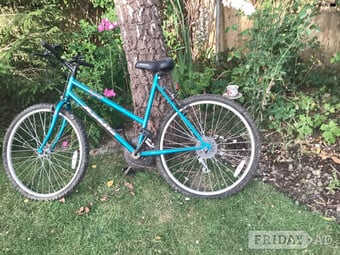 Apollo Fever Mountain bike 