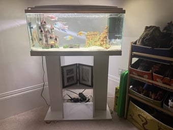 110l fish tank and stand with fish and cleaning equipment and food 