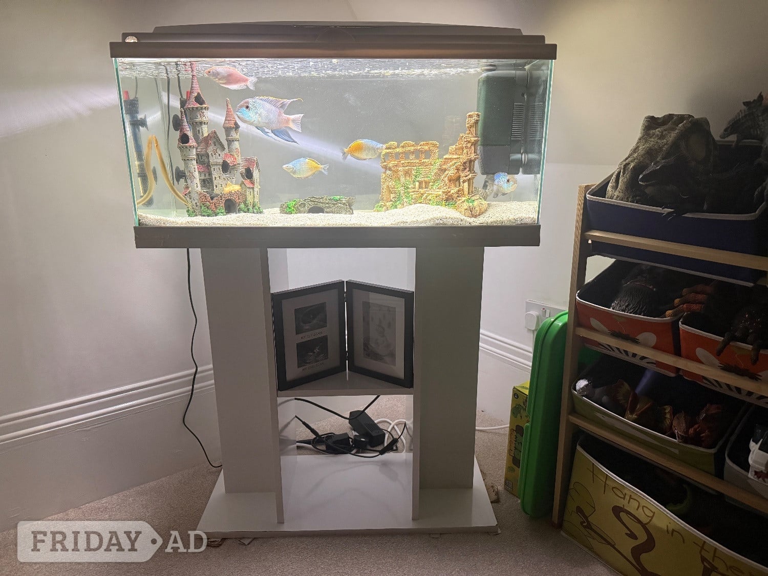 110l fish tank and stand with fish and cleaning equipment and food  in Hastings