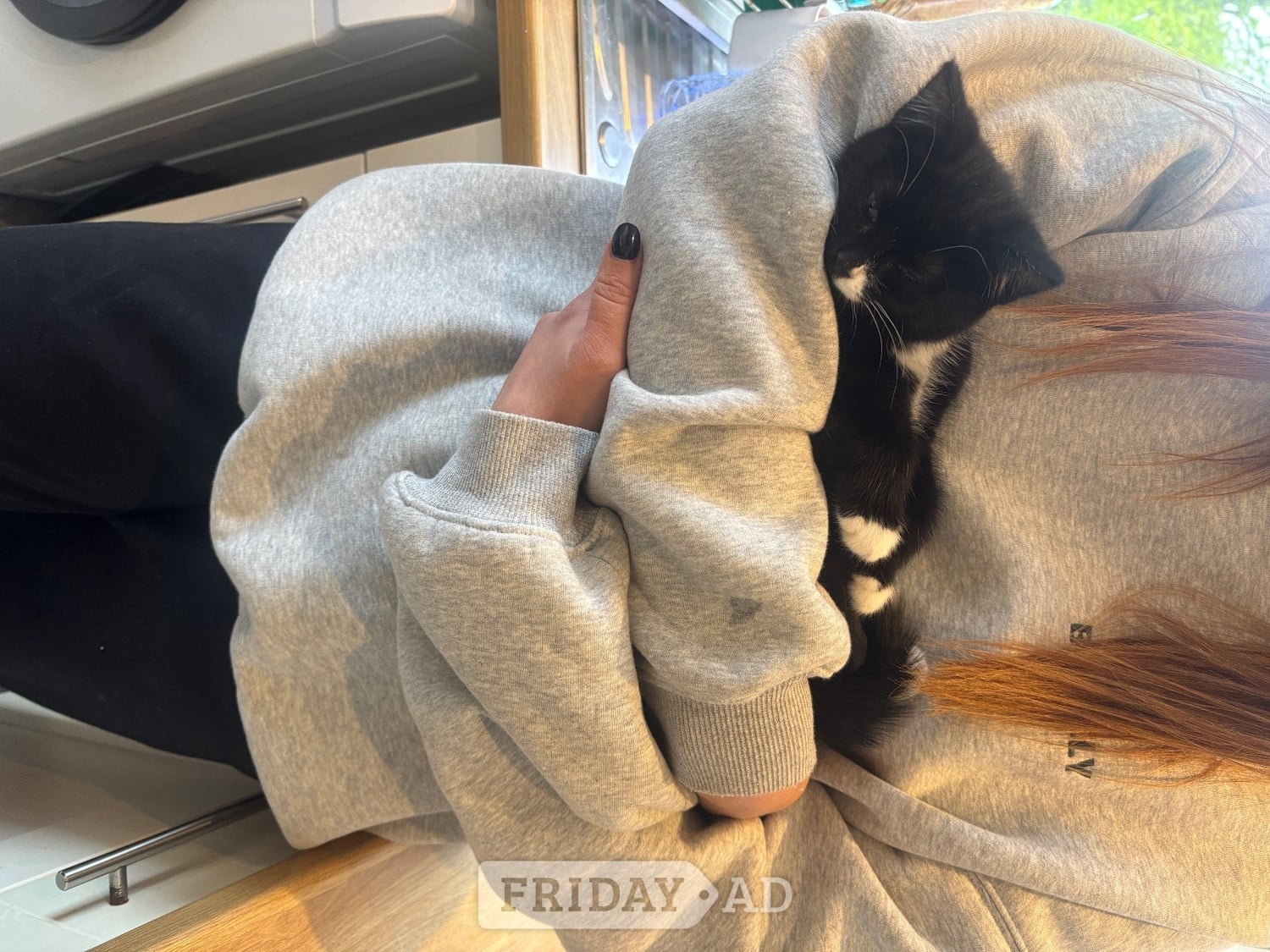  5 month old kitten free  - Cats & Kittens in Hastings