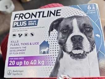 Front line plus 20 to 40 kg 6pk 