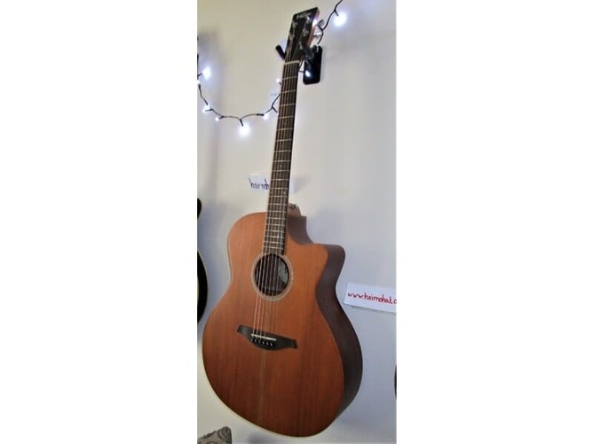 Northampton Elec Acoustic Guitar. VINTAGE  Model VE900MH Quality New strings used in Setup