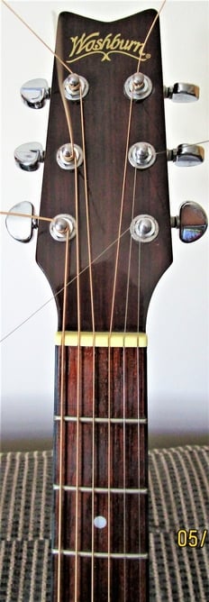 WASHBURN D10 Acoustic Guitar - Musical Instruments