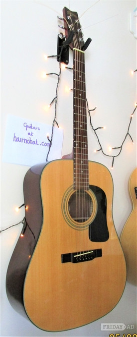 WASHBURN D10 Acoustic Guitar