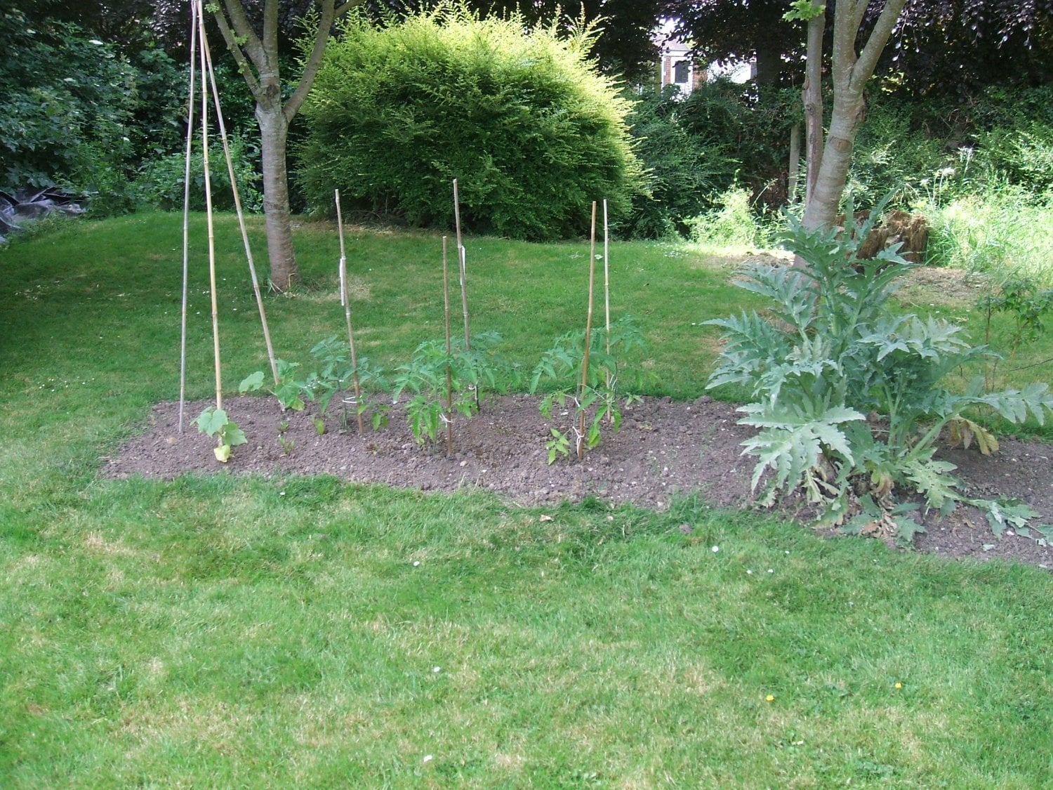 wanted gardener 2 hrs per week in Bognor Regis