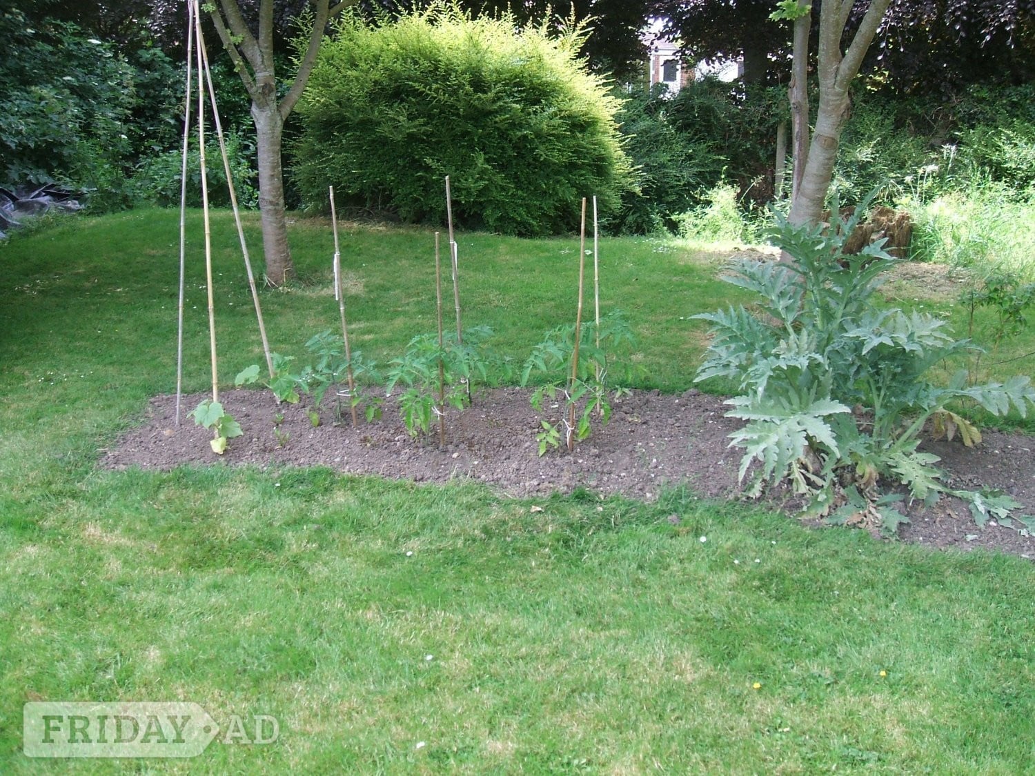 wanted gardener 2/3 hrs per week in Bognor Regis