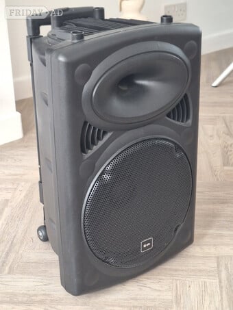 12" PA Speaker 