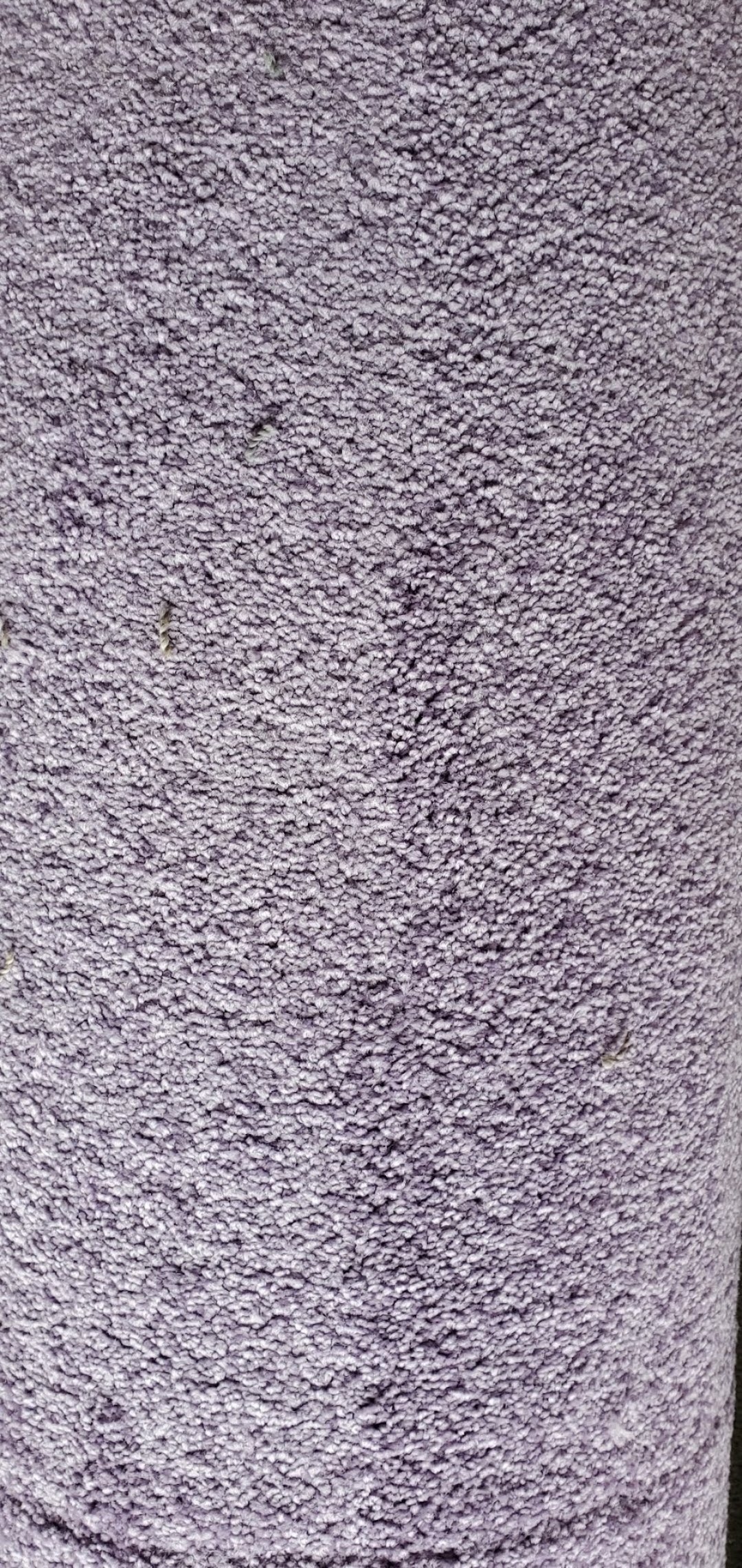 Littlehampton Carpet off cuts rems 